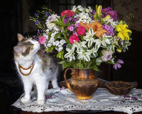 Букет садовых цветов и Буся