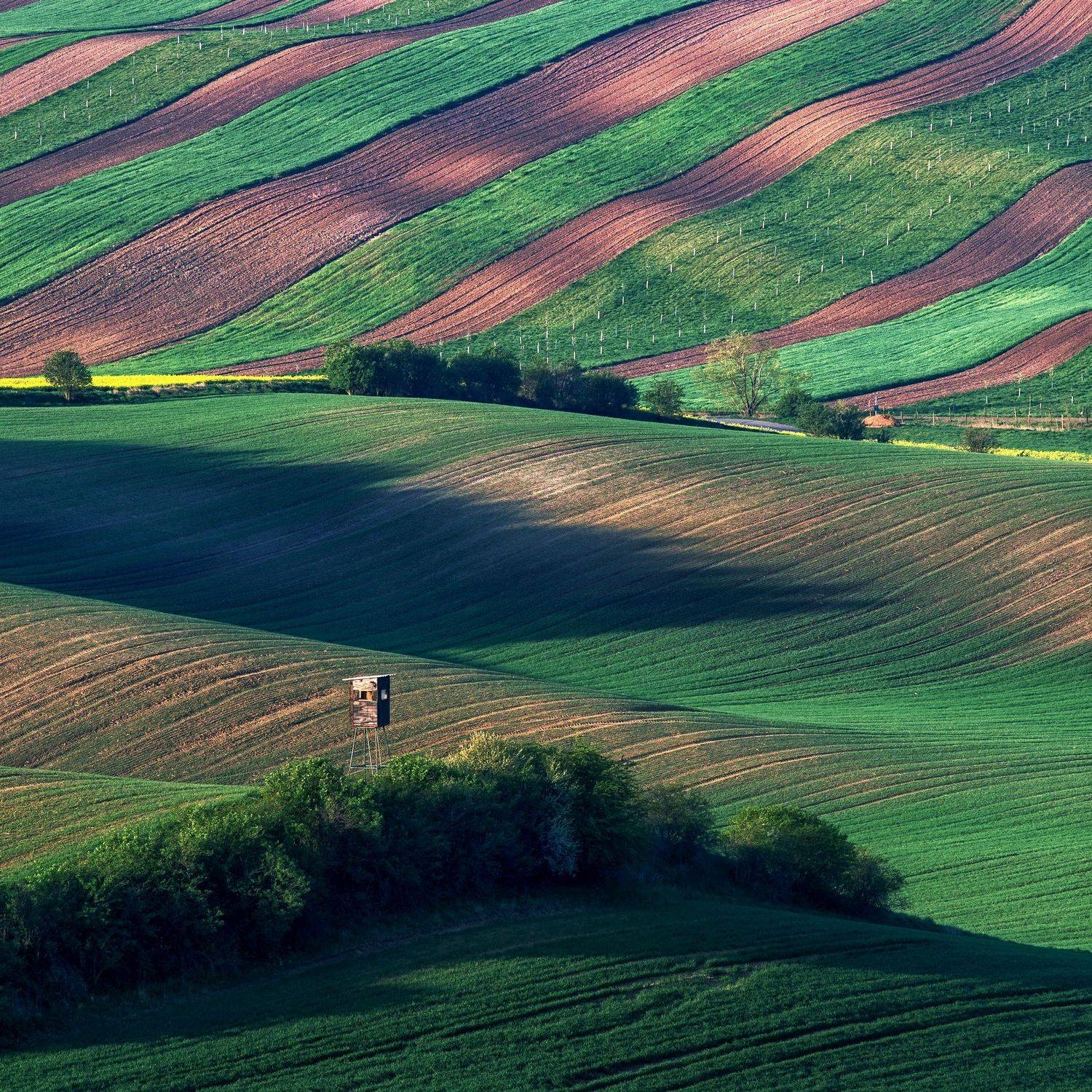 , Сергей Давыдов