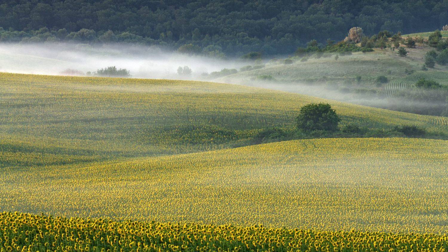 , Taurtirith Photography