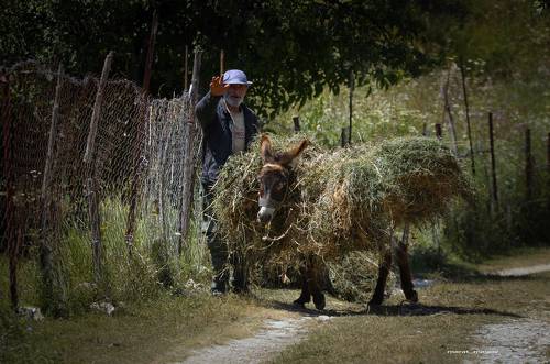 Аула будни..