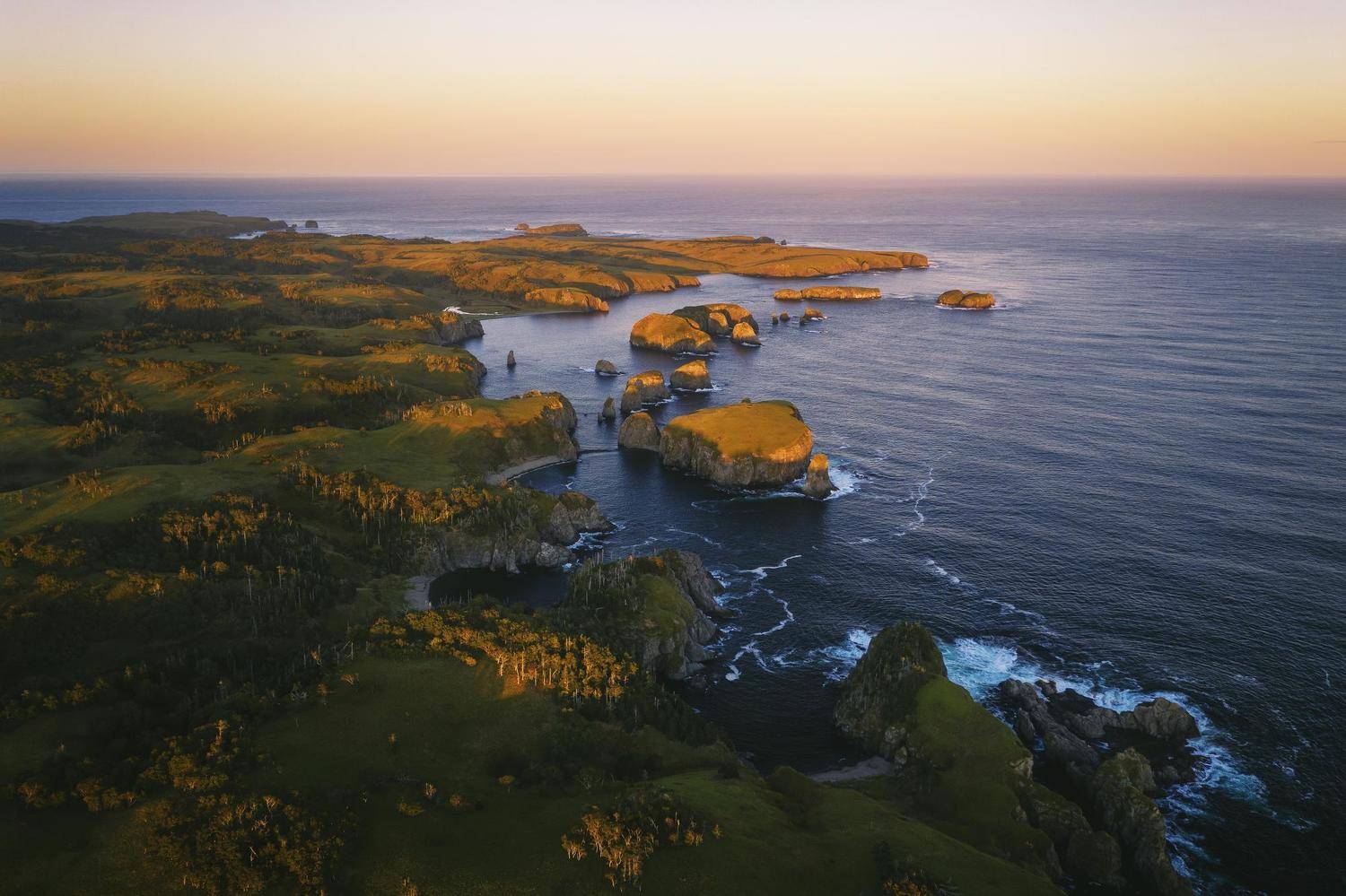 , Разум Митя