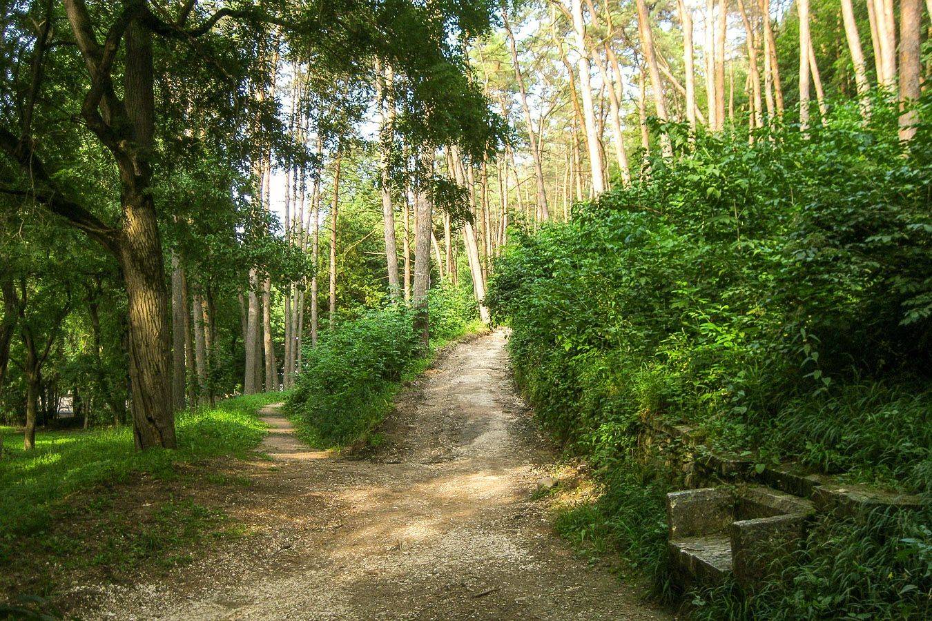 парк, КарОл