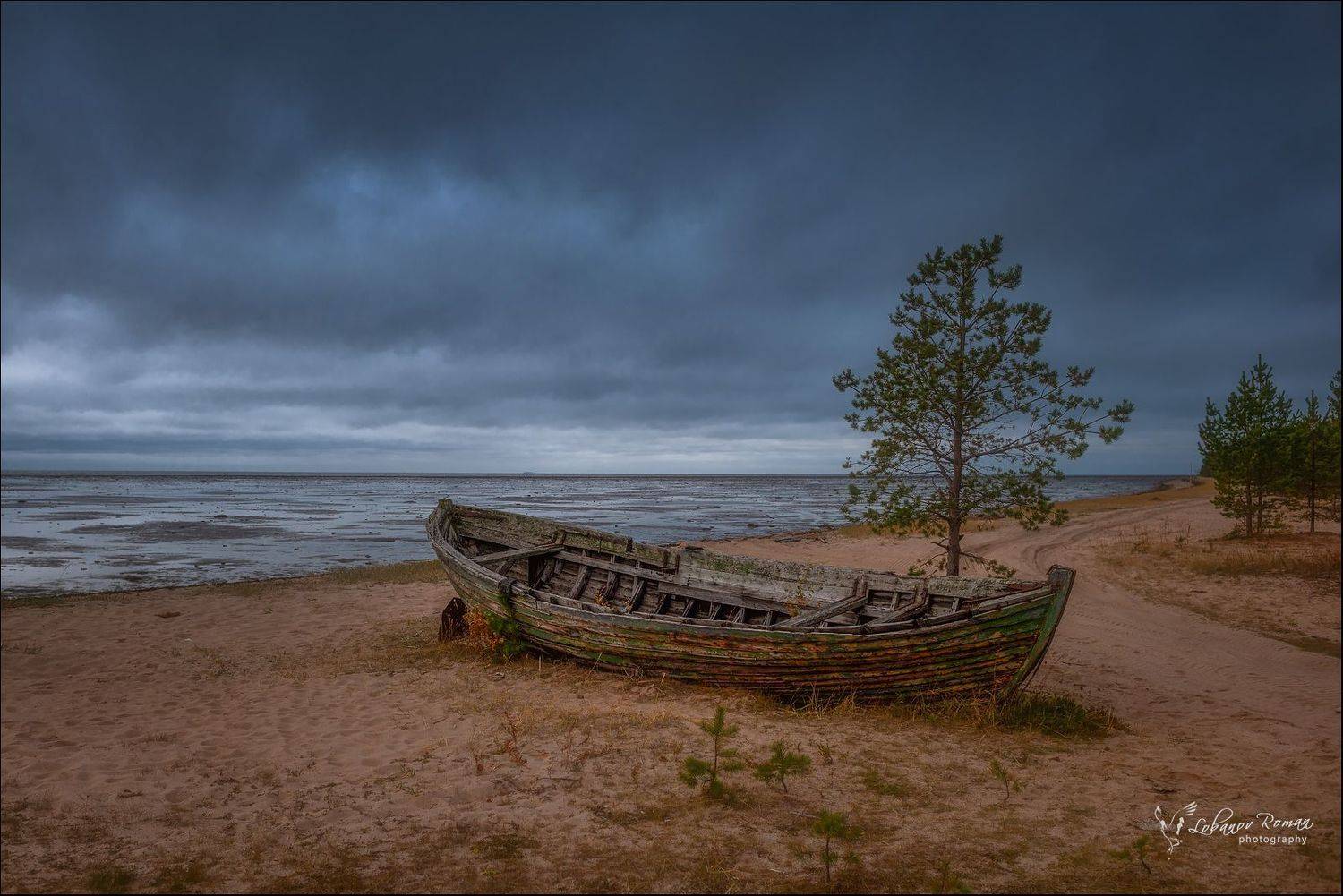 , Лобанов Роман