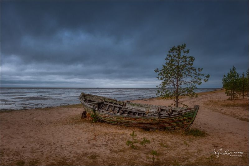 * * * фото превью