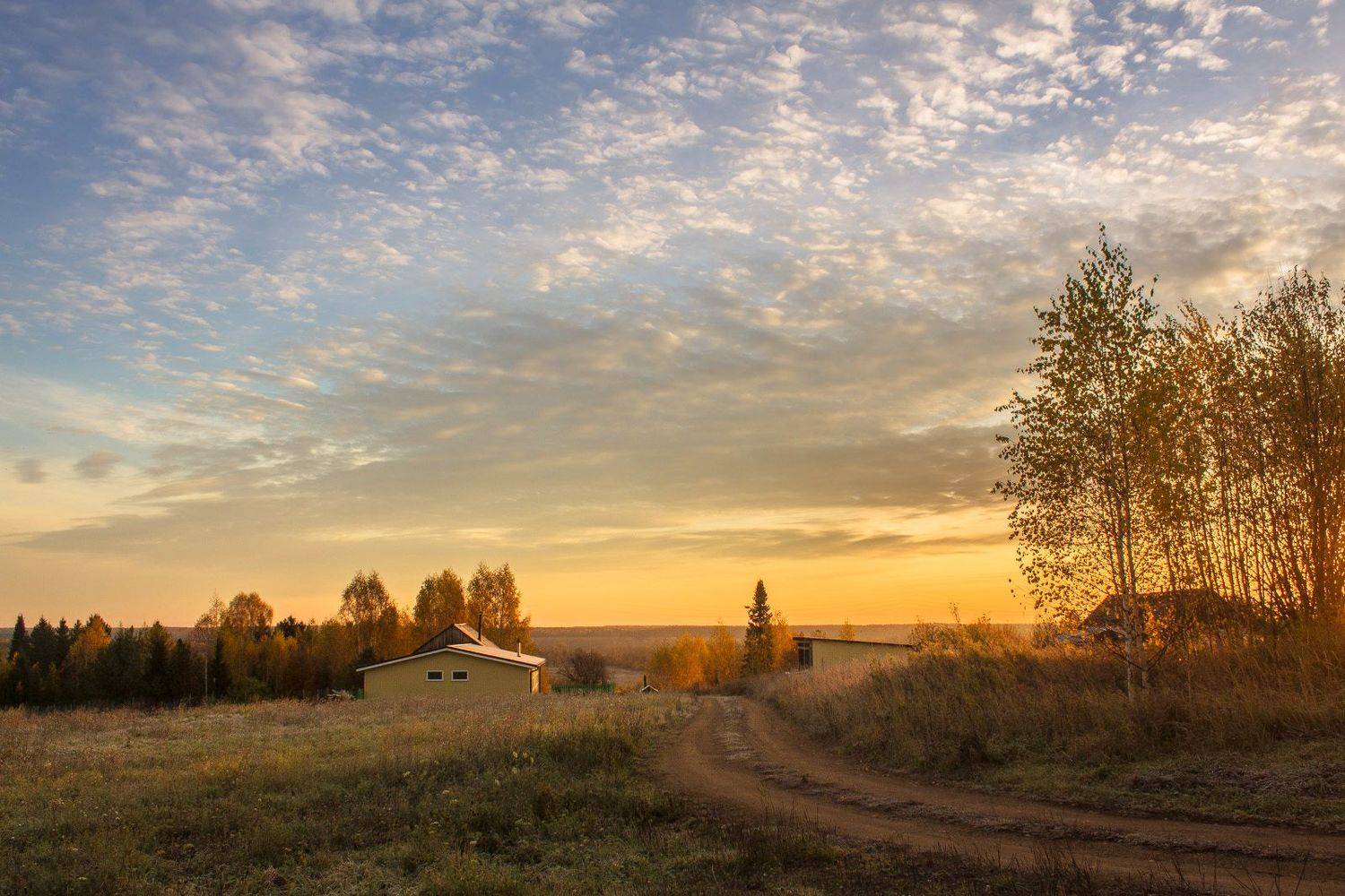 утро, небо, дорога, село, облака, осень, дом, Галина Луценко