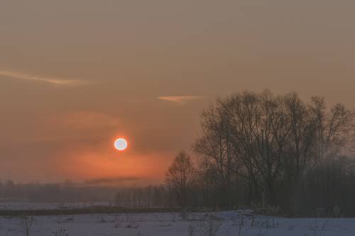 Туманный рассвет