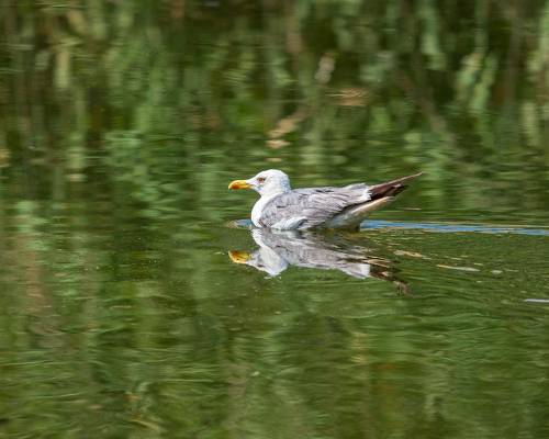 В изумрудных водах
