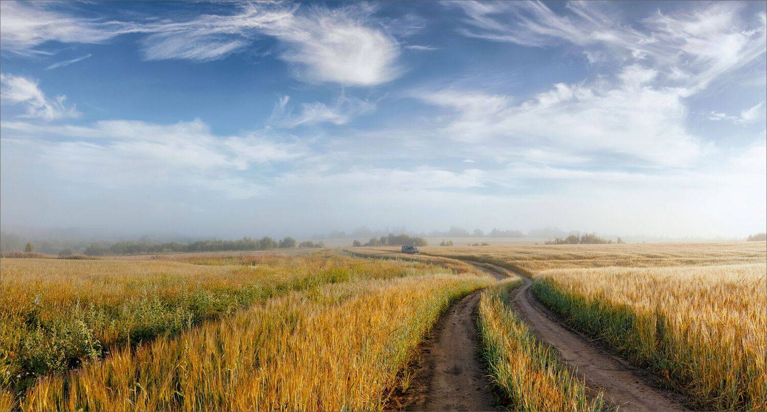 пейзаж, лето, утро, поле, лес, дорога, свет, цвет, туман, панорама, александр никитинский., Никитинский Александр