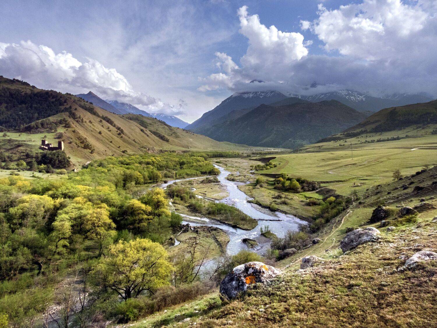 , Лесина Елена