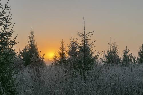 Туманный рассвет