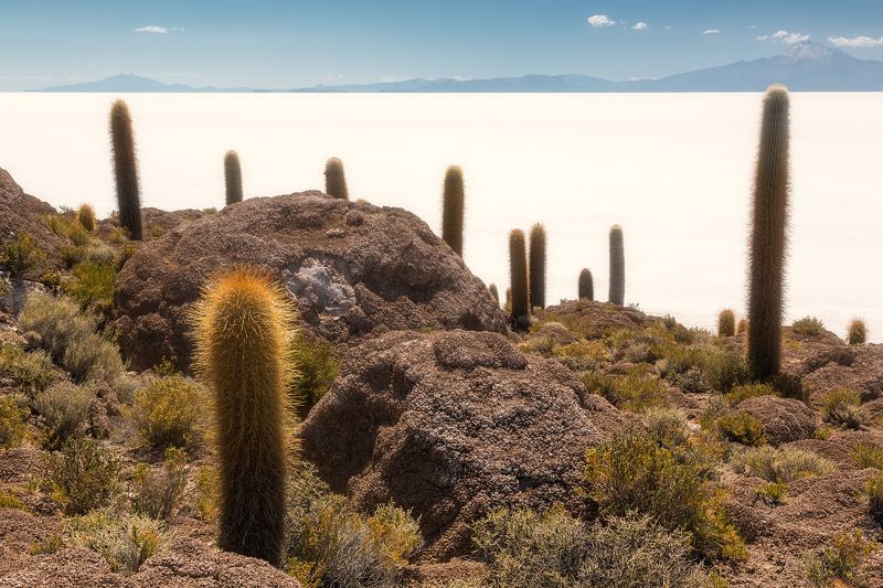 Белое море фото превью