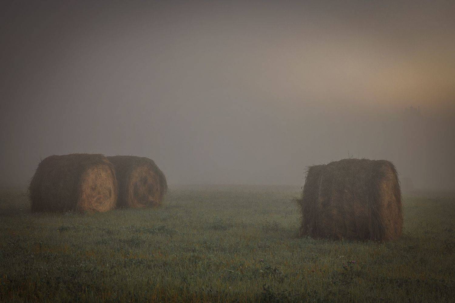 Тульская область, Гусева Елена