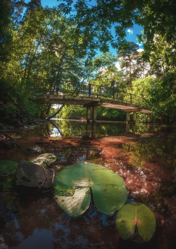 Мостик у Бездонного озера фото превью