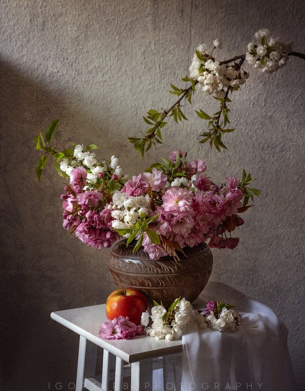 Sakura фото превью