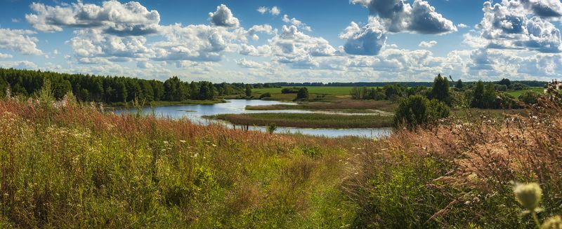 россиия, пейзаж,природа,река,поля,лето,небо Изгиб реки фото превью