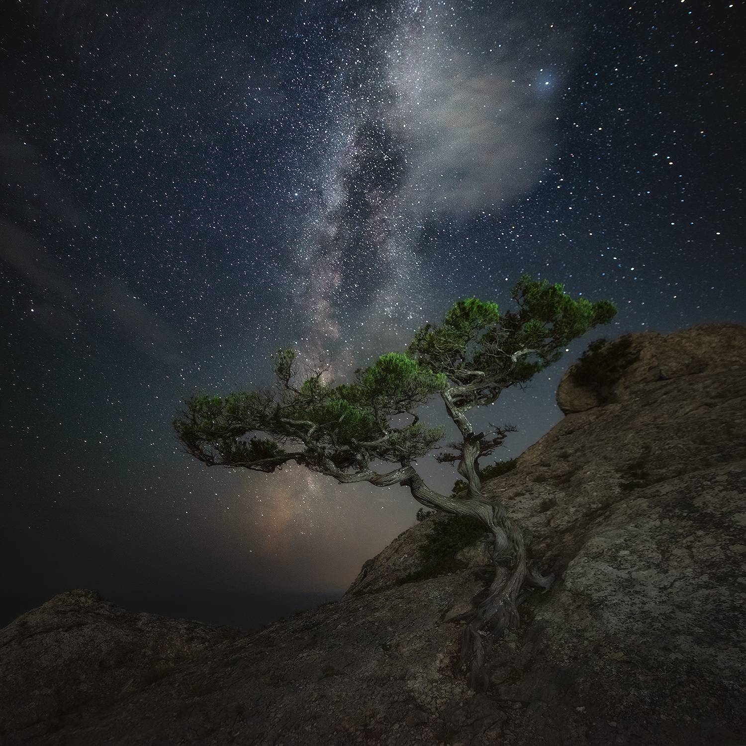 , Лузанов Вячеслав