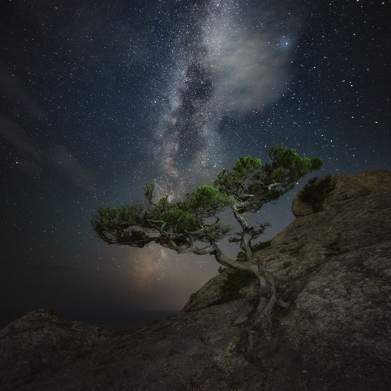 Скала Космос. Новый Свет. Крым фото превью