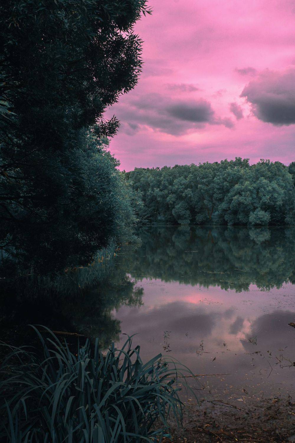 лето, summer, пруд, forest, пейзаж, landscape, nature, природа, Julia Kaissa