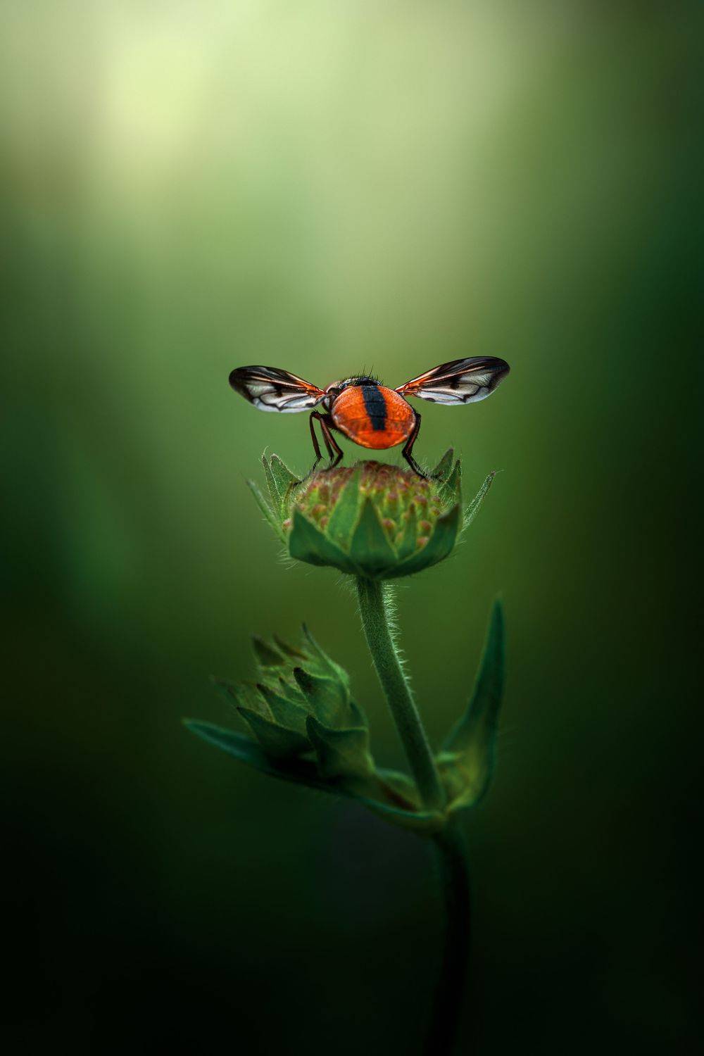 , Татьяна Гореславец