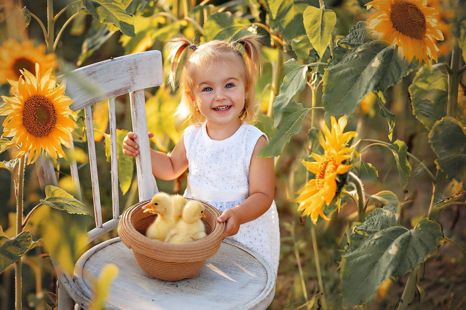 , Волкова Алена