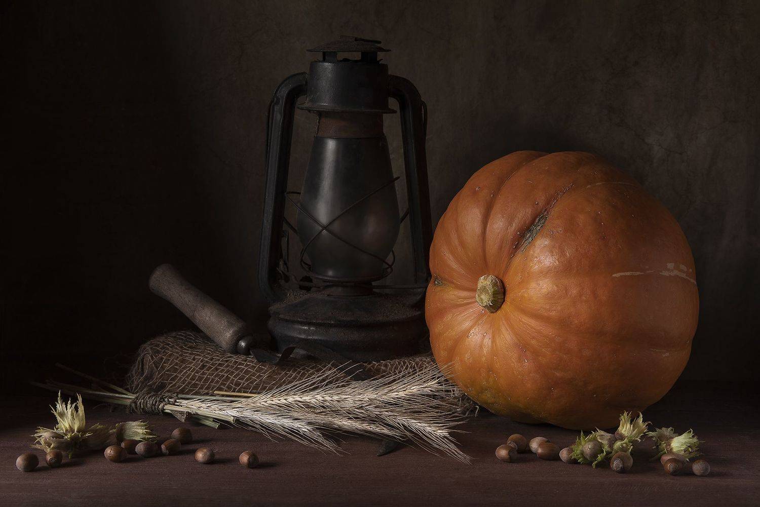 , Елена Зимацкая