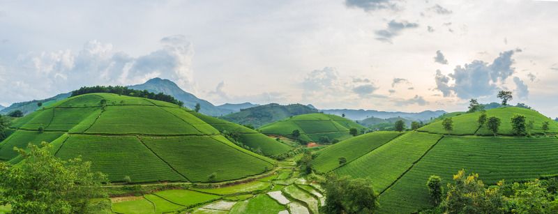 Long Coc фото превью