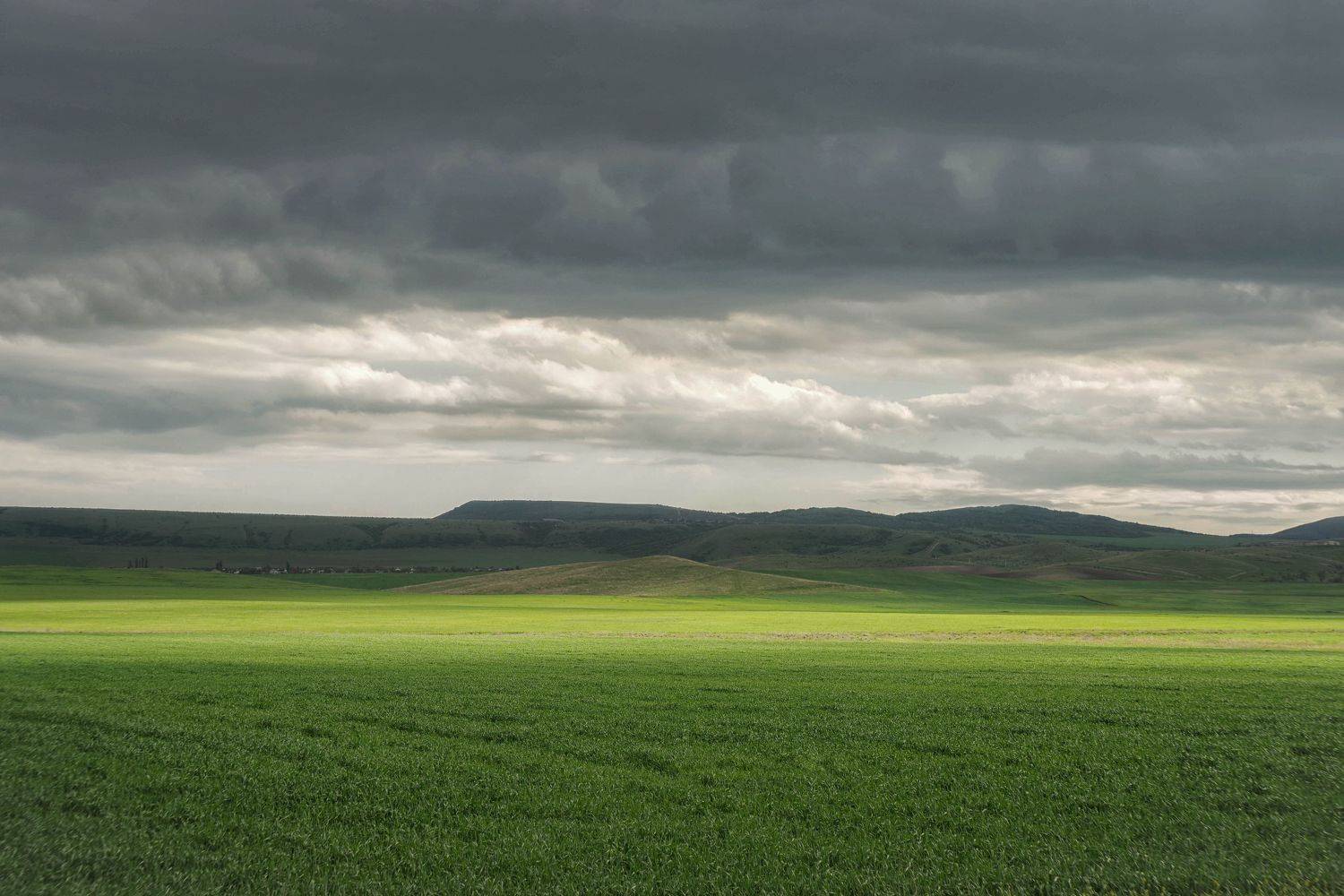 , Ольга Беккер