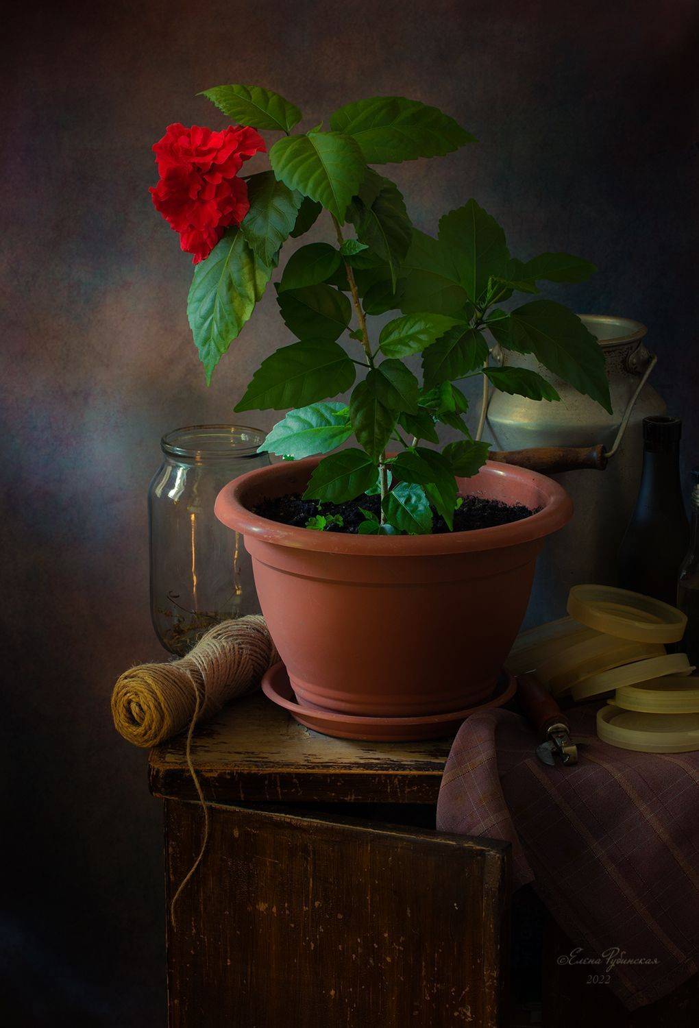 , Елена Рубинская