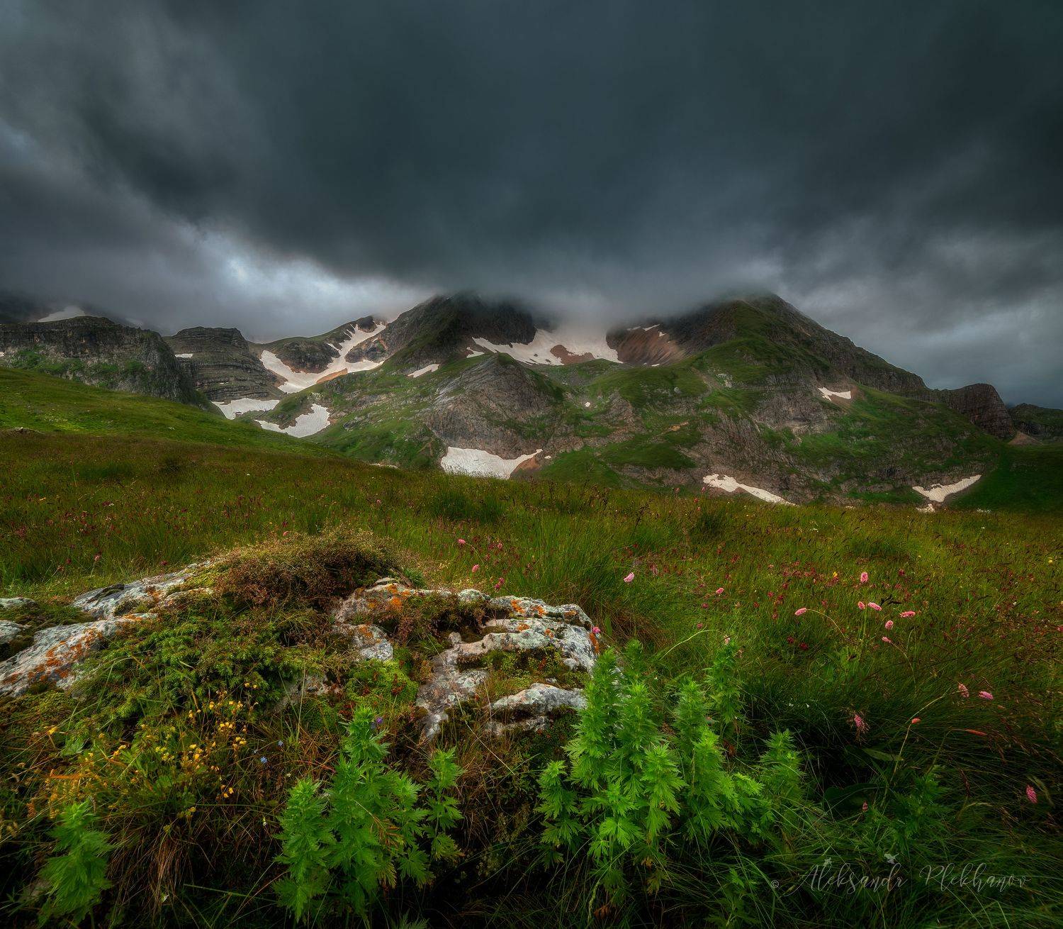 оштен, Плеханов Александр