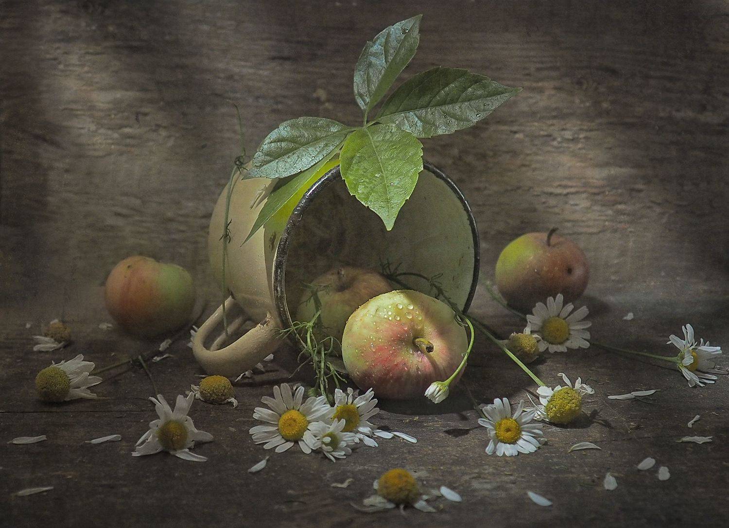 , Володин Владимир Владимирович