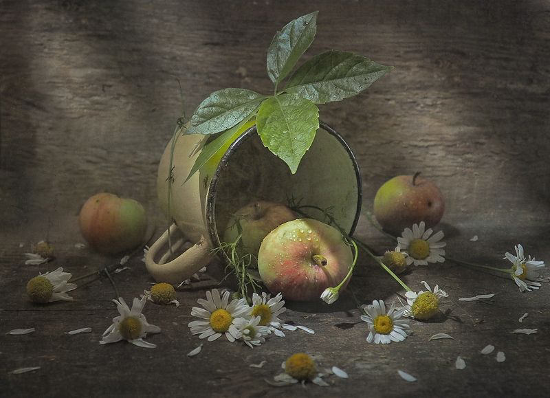 Четыре яблочка фото превью