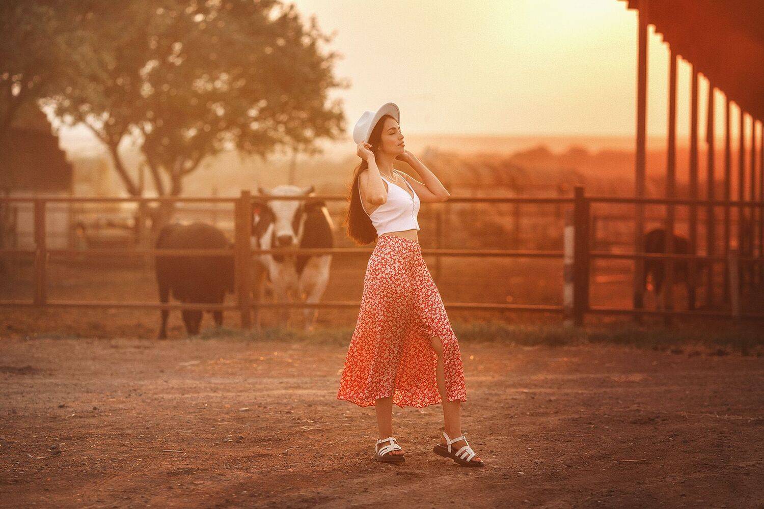 , Мостовой Алексей