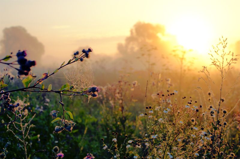 ** фото превью