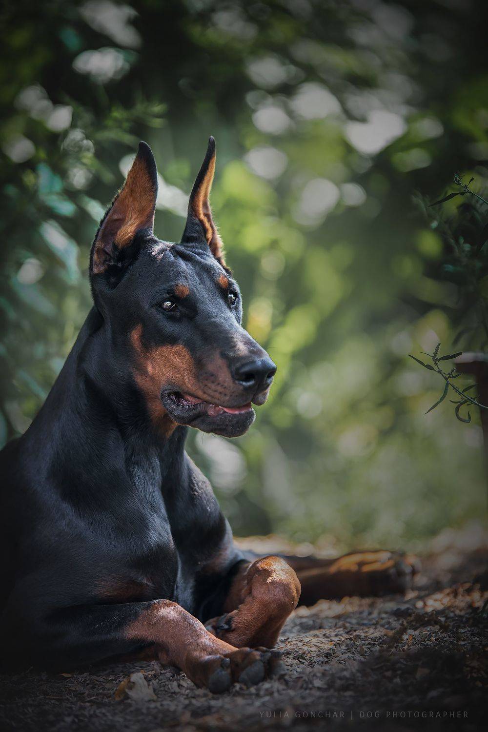 , Юлия Гончар