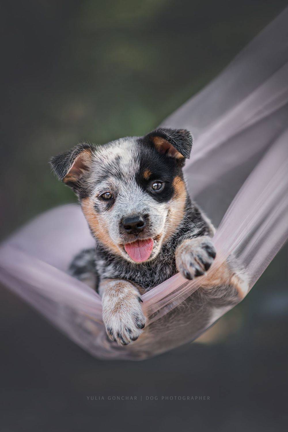 , Юлия Гончар