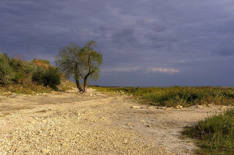 Перед дождём. фото превью