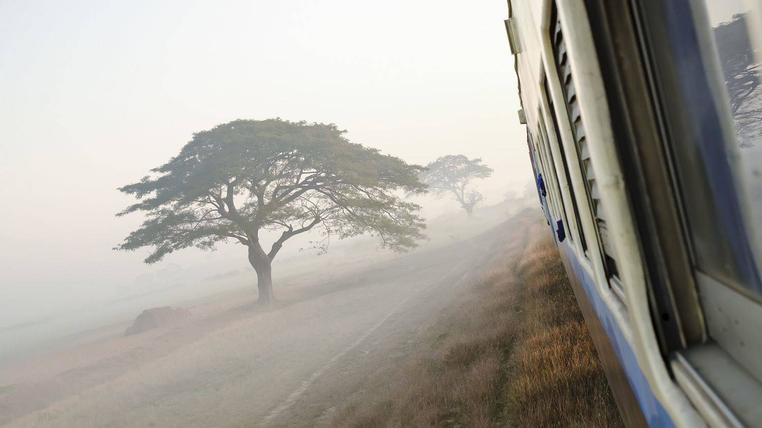 поезд, утро, вагон, туман, акация катеху, дымка, железная дорога, путешествие, тур, поездка, мьянма, бирма, железнодорожный, транспорт, дорога, Сытилин Павел
