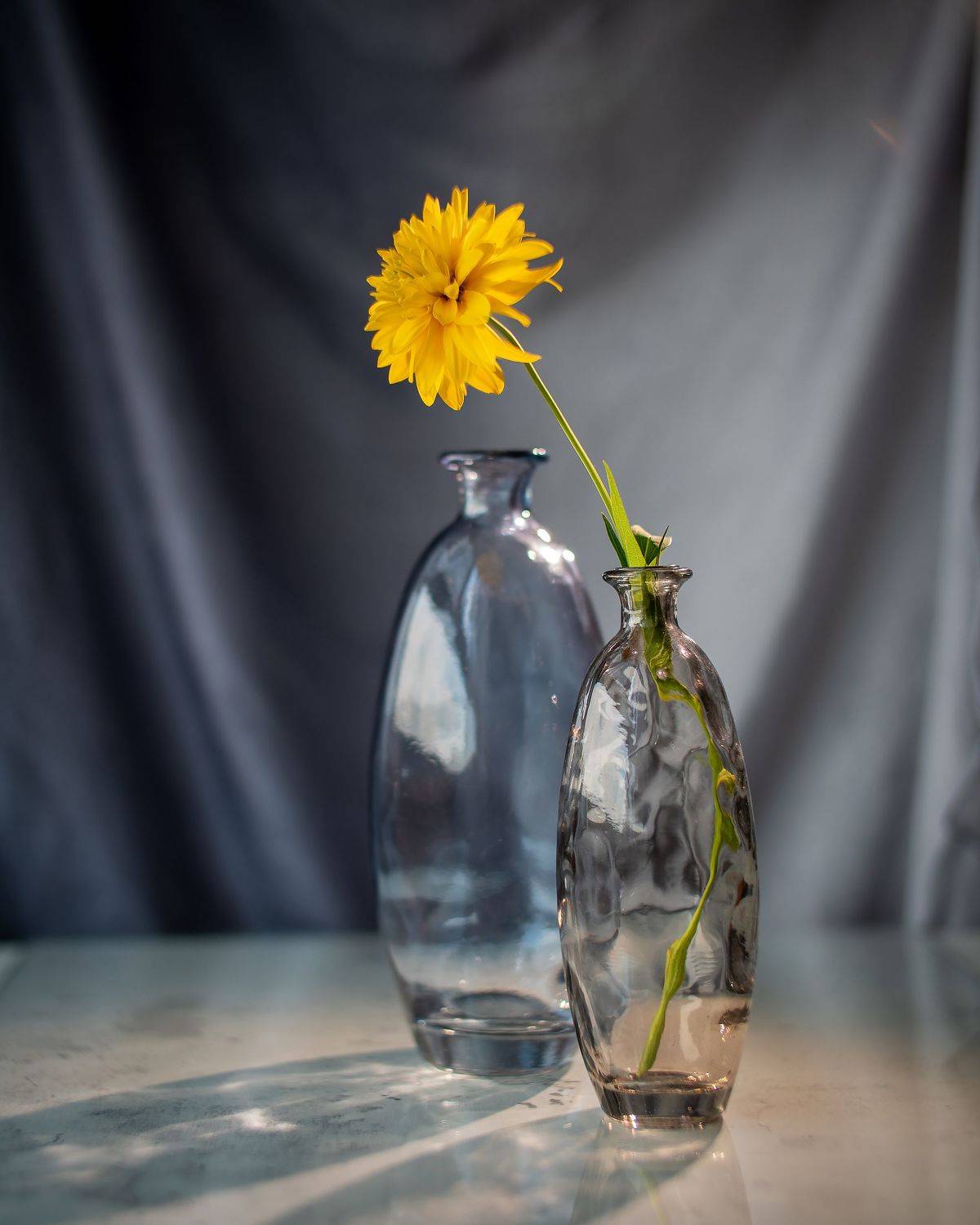 натюрморт желтый ваза зенитар, Тата Бакбак