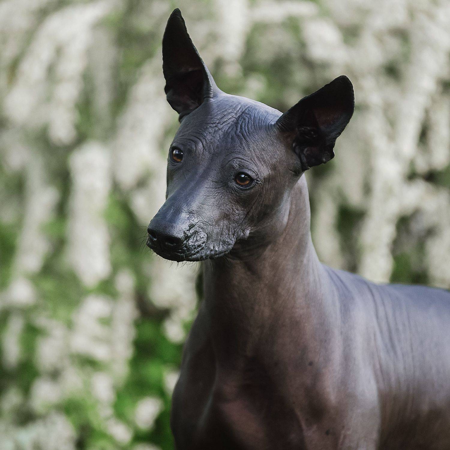 , Коптилина Галина