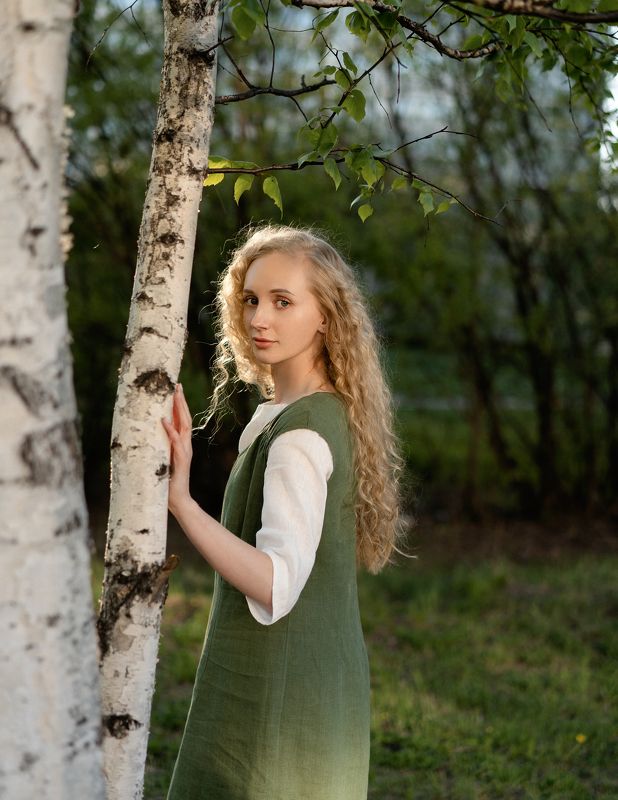 Березы фото превью