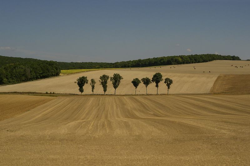 South East landscape. фото превью