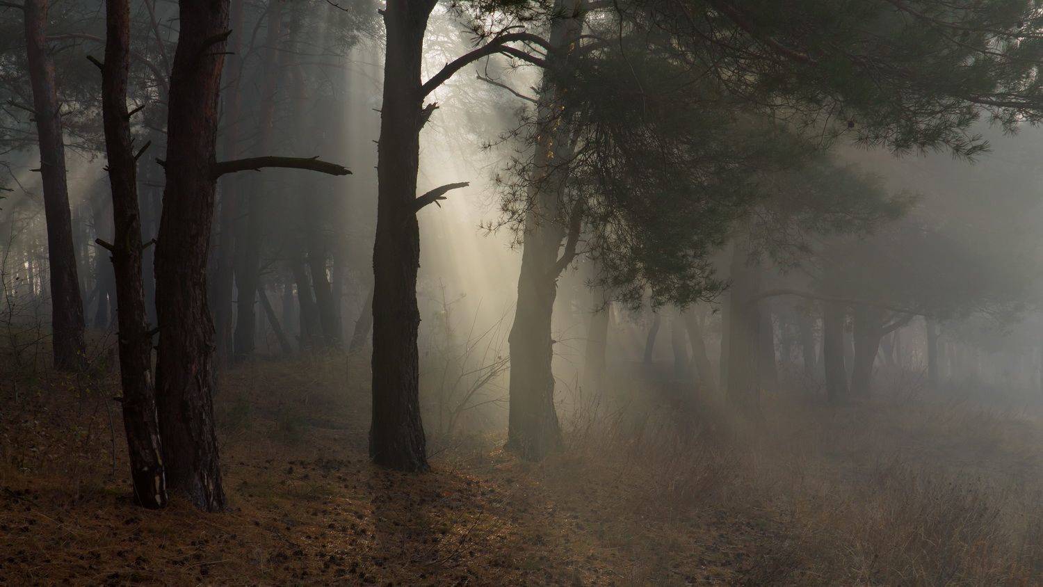 , Taurtirith Photography