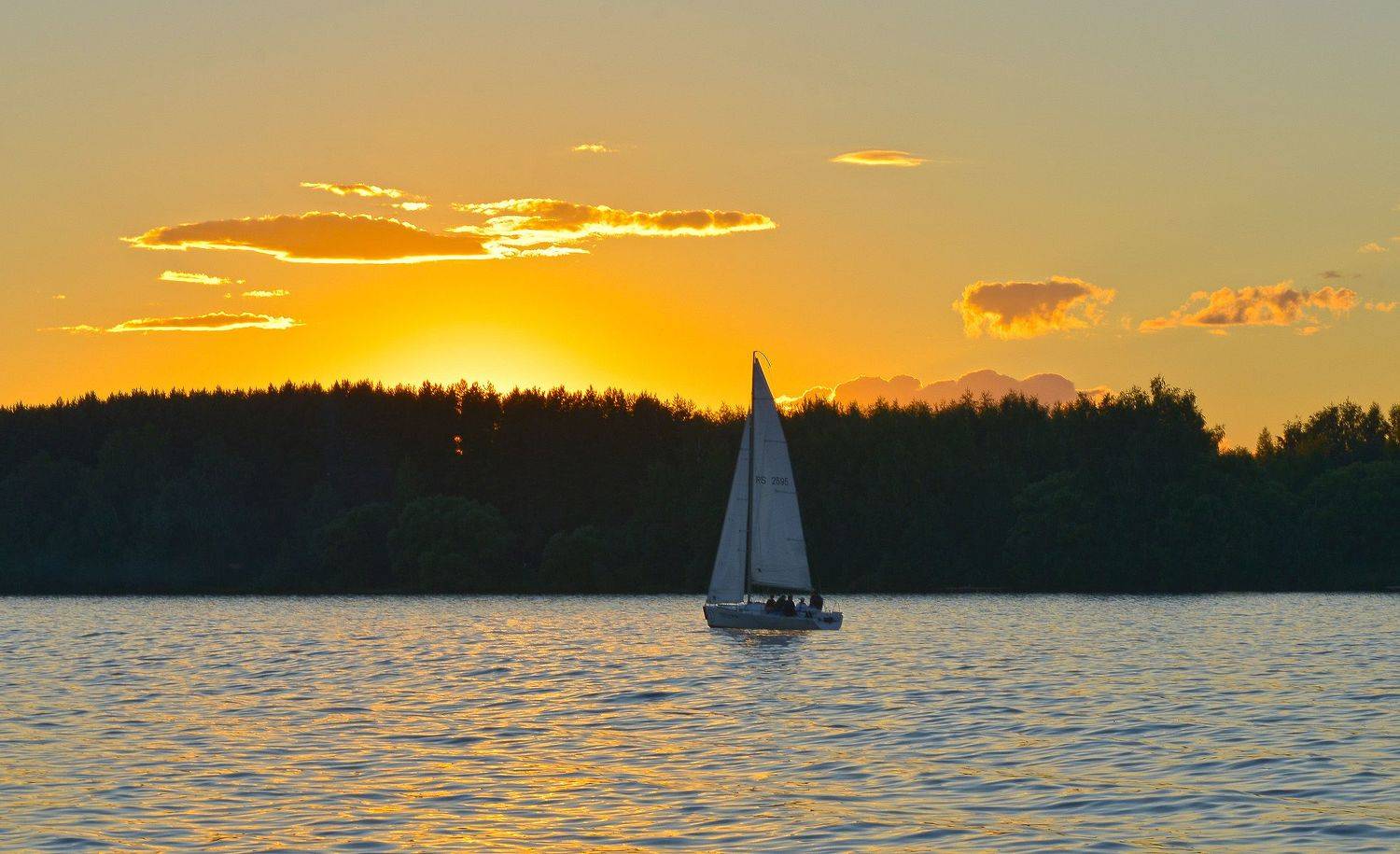 , Сергей Седов