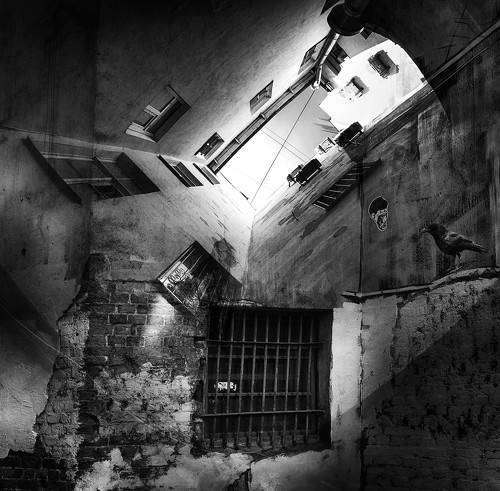 Я у ворона спросил...