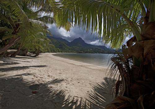 сейшельский вираж