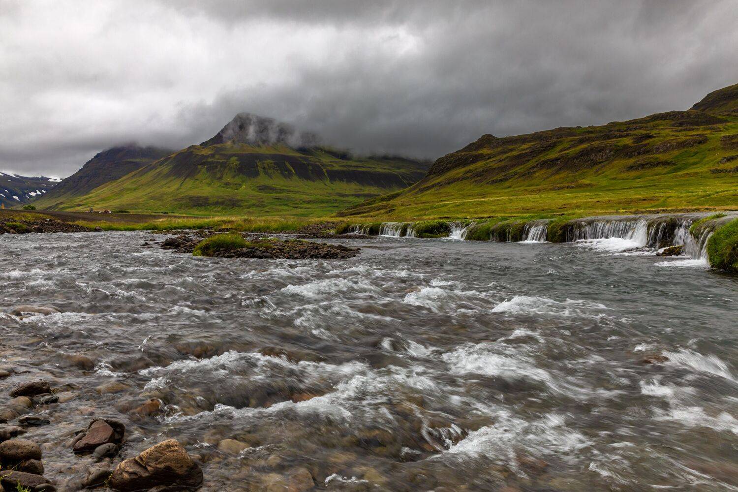 , Евгения Чех