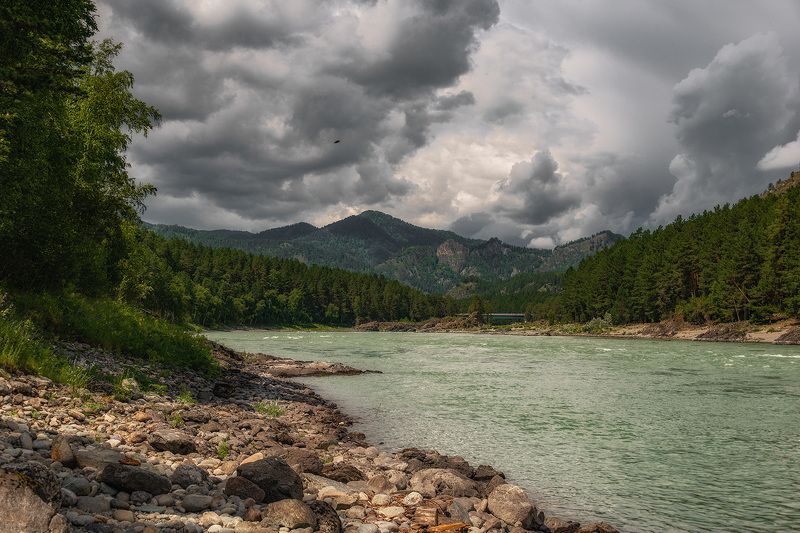 природа *** фото превью