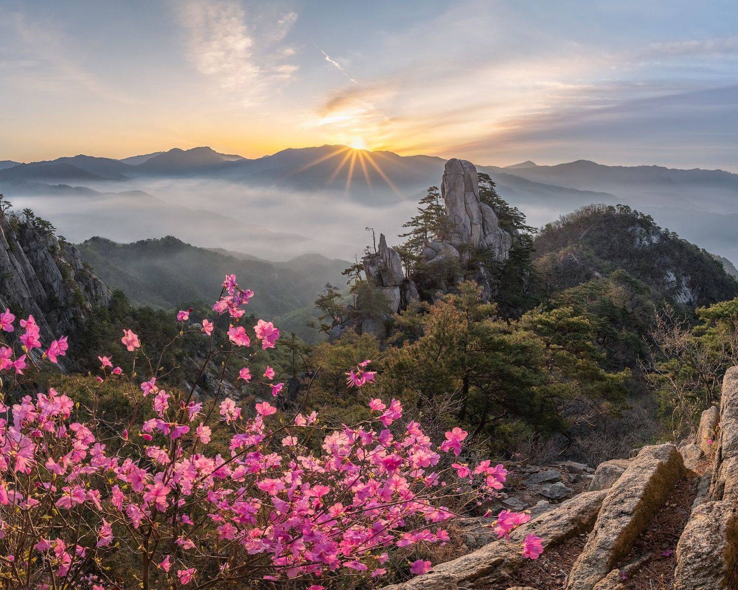 , Jaeyoun Ryu