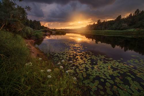 про желтый закат, реку и теплое лето)