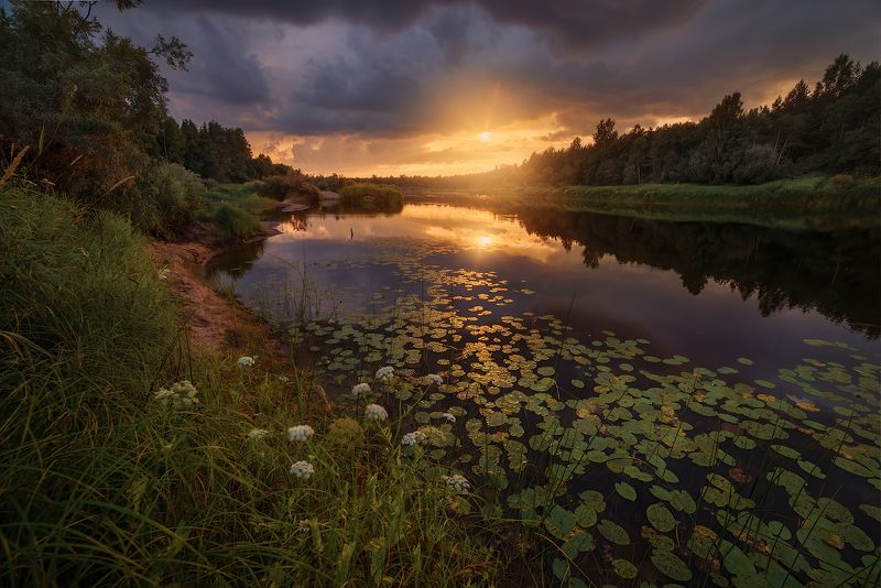 про желтый закат, реку и теплое лето) фото превью